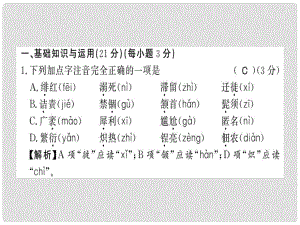 八年級(jí)語(yǔ)文上冊(cè) 第二單元習(xí)題課件 新人教版