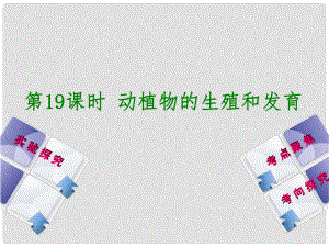 中考生物復習方案 主題七 生物的生殖、發(fā)育和遺傳、變異 第19課時 動植物的生殖和發(fā)育課件