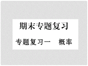 九年級數(shù)學(xué)下冊 期末專題復(fù)習(xí) 專題復(fù)習(xí)1 概率作業(yè)課件 （新版）新人教版