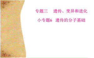 高考生物二輪復(fù)習(xí) 專題三 小專題6 遺傳的分子基礎(chǔ)課件 新人教版