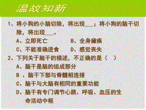 廣東省中山市七年級生物下冊 第四單元 第三節(jié) 神經(jīng)調(diào)節(jié)課件 （新版）新人教版