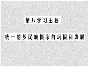 中考?xì)v史總復(fù)習(xí) 第一部分 中國古代史 第八學(xué)習(xí)主題 統(tǒng)一的多民族國家的鞏固和發(fā)展課件