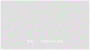 江西省中考?xì)v史專題復(fù)習(xí) 專題一 中國的對外交往課件