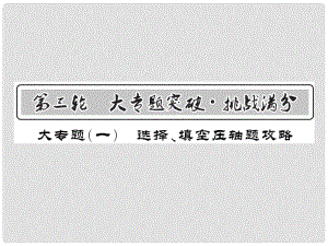 中考數(shù)學(xué)總復(fù)習(xí) 第三輪 大專題突破 挑戰(zhàn)滿分 大專題（一）習(xí)題課件