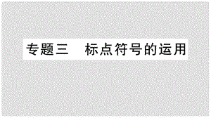 七年級(jí)語文上冊(cè) 期末專題復(fù)習(xí)三 標(biāo)點(diǎn)符號(hào)的運(yùn)用課件 新人教版