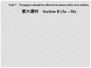 九年級(jí)英語全冊(cè) Unit 7 Teenagers should be allowed to choose their own clothes（第6課時(shí)）Section B（3a3b）課件 （新版）人教新目標(biāo)版