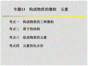 浙江省中考科學(xué)系統(tǒng)復(fù)習(xí) 專題13 構(gòu)成物質(zhì)的基本粒子 元素課件