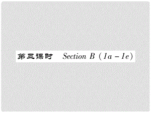 七年級(jí)英語(yǔ)下冊(cè) Unit 7 It's raining（第3課時(shí)）Section B（1a1e）習(xí)題課件 （新版）人教新目標(biāo)版