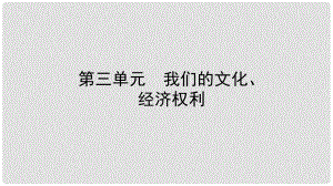 中考政治總復(fù)習(xí) 基礎(chǔ)知識梳理 八下 第三單元 我們的文化、經(jīng)濟(jì)權(quán)利課件