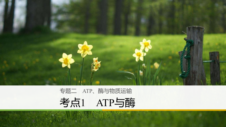 高三生物二輪專題復習 專題二 ATP、酶與物質運輸 考點1 ATP與酶課件 新人教版_第1頁