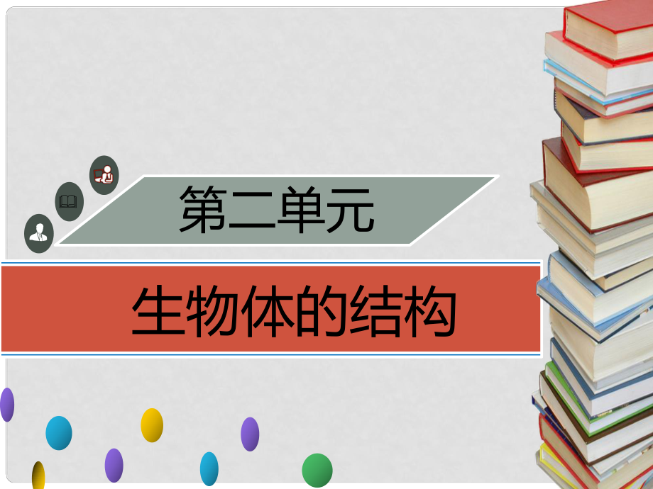 季七年級生物上冊 第二單元 第4章 第2節(jié) 生物體的器官、系統(tǒng)習(xí)題課件 （新版）北師大版_第1頁