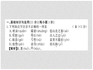 八年級語文上冊 第六單元習題課件 新人教版