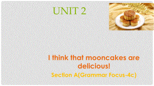 廣東省汕尾市陸豐市九年級英語全冊 Unit 2 I think that mooncakes are delicious Section A（Grammar Focus4c）課件 （新版）人教新目標版