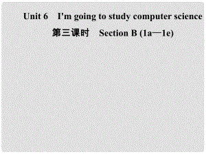 八年級英語上冊 Unit 6 I’m going to study computer science（第3課時）Section B（1a1e）導(dǎo)學課件 （新版）人教新目標版