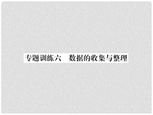 八年級數(shù)學上冊 專題訓練6 數(shù)據(jù)的收集與整理作業(yè)課件 （新版）華東師大版