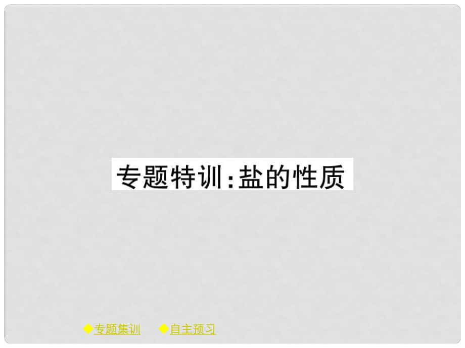 九年级化学下册 专题特训 盐的性质习题课件 （新版）新人教版_第1页