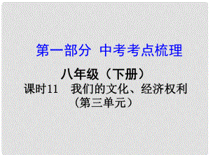 湖南省中考政治總復(fù)習(xí) 課時(shí)11 我們的文化、經(jīng)濟(jì)權(quán)利課件