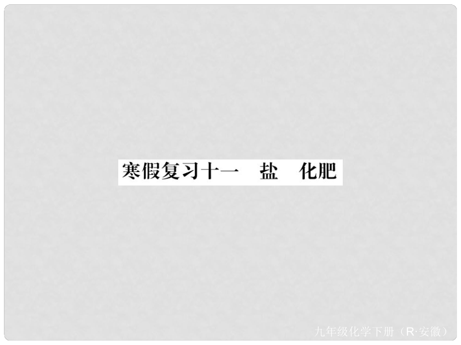 九年级化学下册 寒假复习十一 盐 化肥练习课件 （新版）新人教版_第1页