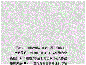 高考生物總復習 第四單元 細胞的生命歷程 414 細胞分化、衰老、凋亡和癌變課件