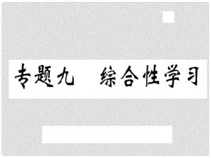 八年級語文上冊 專題九 綜合性學習習題課件 新人教版