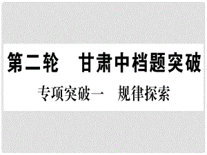 中考數(shù)學(xué) 第二輪 中檔題突破 專項突破1 規(guī)律探索作業(yè)課件