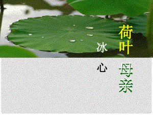 陜西省藍田縣七年級語文上冊 第二單元 7 散文詩二首 荷葉 母親課件1 新人教版