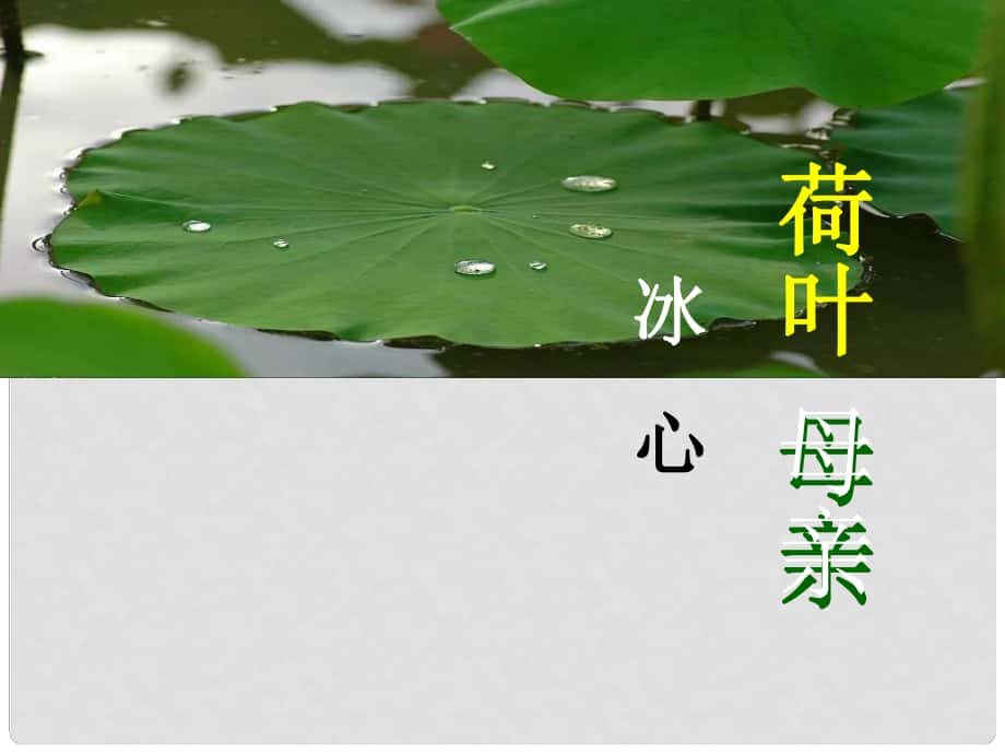 陜西省藍田縣七年級語文上冊 第二單元 7 散文詩二首 荷葉 母親課件1 新人教版_第1頁