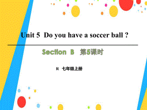 七年級英語上冊 Unit 5 Do you have a soccer ball（第5課時）Section B（3aSelf Check）課件 （新版）人教新目標版