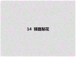 內蒙古烏海市七年級語文下冊 第四單元 14 驛路梨花課件 新人教版