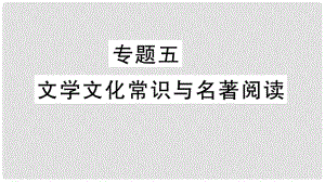 七年級語文上冊 期末專題復(fù)習(xí)五 文學(xué)文化常識(shí)與名著閱讀課件 新人教版