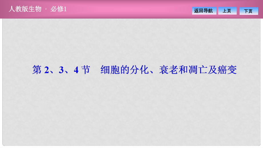 高中生物 第六章 細胞的生命歷程 第2、3、4節(jié) 細胞的分化、衰老和凋亡及癌變課件 新人教版必修1_第1頁