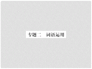 九年級語文上冊 期末專題復(fù)習(xí)二 詞語運用習(xí)題課件 新人教版