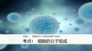 高三生物二輪專題復習 專題一 細胞的分子組成和基本結(jié)構(gòu) 考點1 細胞的分子組成課件 新人教版