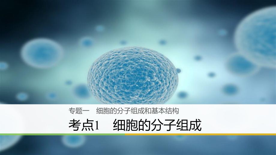 高三生物二輪專題復(fù)習(xí) 專題一 細(xì)胞的分子組成和基本結(jié)構(gòu) 考點1 細(xì)胞的分子組成課件 新人教版_第1頁