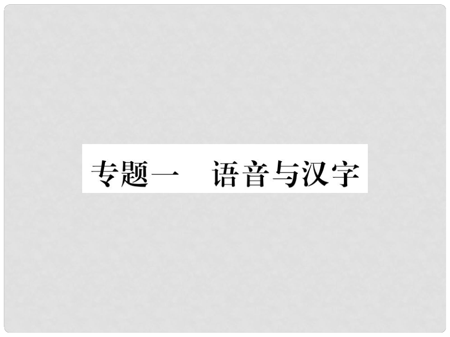 九年级语文上册 专题一 语音与汉字习题课件 苏教版_第1页