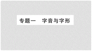 八年級(jí)語(yǔ)文上冊(cè) 期末專題一 字音與字形課件 語(yǔ)文版