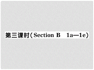 河北省石家莊市贊皇縣九年級英語全冊 Unit 12 Life is full of unexpected（第3課時）習(xí)題課件 （新版）人教新目標(biāo)版