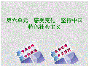 廣西北部灣四市中考政治 第六單元 感受變化 堅持中國特色社會主義復(fù)習(xí)課件