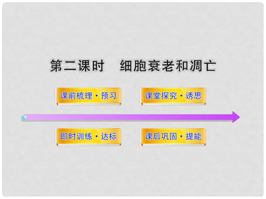 高中生物 第五章 細(xì)胞增殖、分化、衰老和凋亡 5.2.2 細(xì)胞衰老和凋亡課件 蘇教版必修1_第1頁