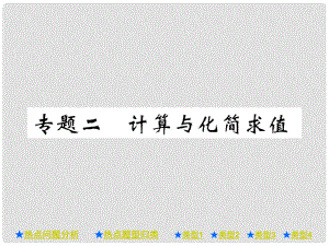 中考數(shù)學總復習 第二部分 重點專題提升 專題二 計算與化簡求值課件