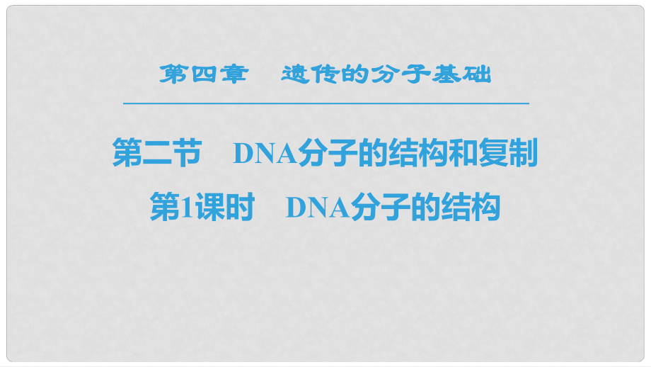 高中生物 第4章 遺傳的分子基礎(chǔ) 第2節(jié) DNA的結(jié)構(gòu)和DNA的復(fù)制 第1課時(shí) DNA分子的結(jié)構(gòu)課件 蘇教版必修2_第1頁