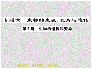 中考生物總復(fù)習(xí) 專題突破六 生物的繁殖、發(fā)育與遺傳 第3講課件