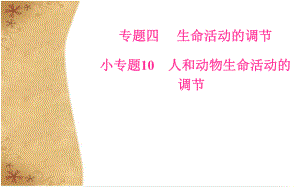 高考生物二輪復習 專題四 小專題10 人和動物生命活動的調(diào)節(jié)課件 新人教版