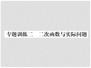 九年級數(shù)學(xué)上冊 專題訓(xùn)練2 二次函數(shù)與實際問題習(xí)題課件 （新版）滬科版