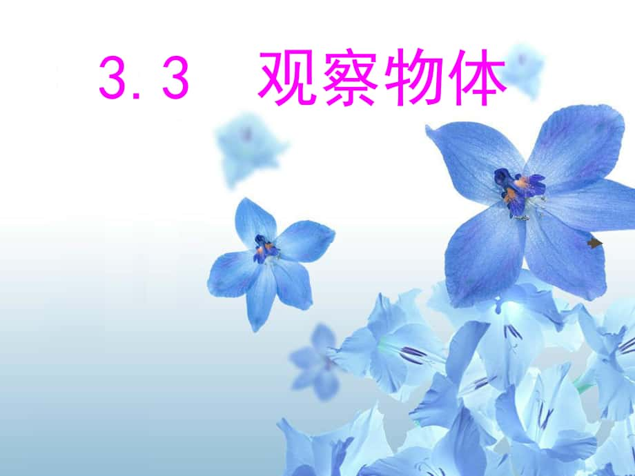 七年級數(shù)學上 3.3觀察物體 課件北師大版_第1頁