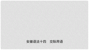 安徽省中考英語總復(fù)習(xí) 語法專項復(fù)習(xí) 語法十四 交際用語課件