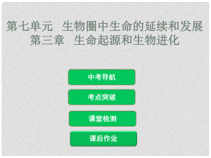 中考生物 第七單元 第三章 生命起源和生物進化復習課件