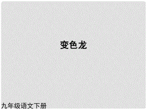 （課件直通車(chē)）九年級(jí)語(yǔ)文下冊(cè) 第七課變色龍1課件 人教新課標(biāo)版