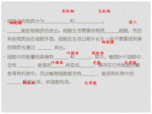 广东省汕头市七年级生物上册 2.1.4 细胞的生活（第2课时）课件 （新版）新人教版