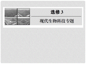 高中生物第一輪復習 專題一 基因工程課件